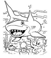 coloriage requin et les autres animaux aquatiques